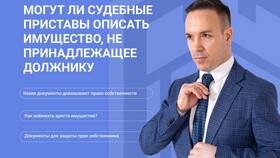 Арест имущества должника судебными приставами: порядок и особенности в Лером