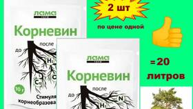 Что можно использовать Корневин в Лером