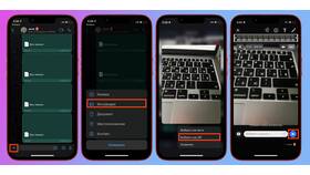 Что можно отправить в WhatsApp в Лером