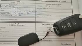 Что такое торги на Авито в Лером