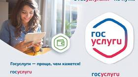 Как оформить социальную карту через Госуслуги в Лером