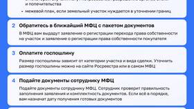 Как оформить земельный участок через МФЦ в Лером
