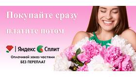 Как оплачивать картой Яндекс Сплит в Лером