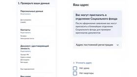 Как подать заявление на пенсию через Госуслуги в Лером