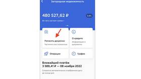 Как погасить чужой кредит в Лером