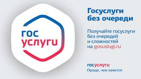 Как получить выплаты через портал Госуслуги в Лером