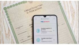 Как посмотреть полученные выплаты на Госуслугах в Лером
