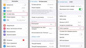 Как проверить расход интернет-трафика на iPhone в Лером
