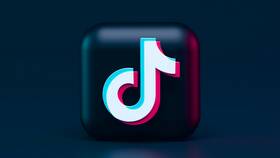 Как создать стикер в TikTok: подробное руководство в Лером