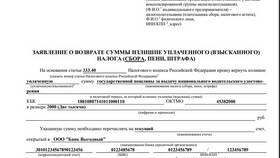 Как вернуть госпошлину, оплаченную через Госуслуги в Лером