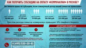 Как вернуть субсидию в Лером