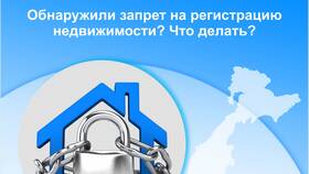 Почему накладывают арест на дом в Лером