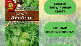 Семена в «Азбуке Вкуса»: качество для вашего урожая